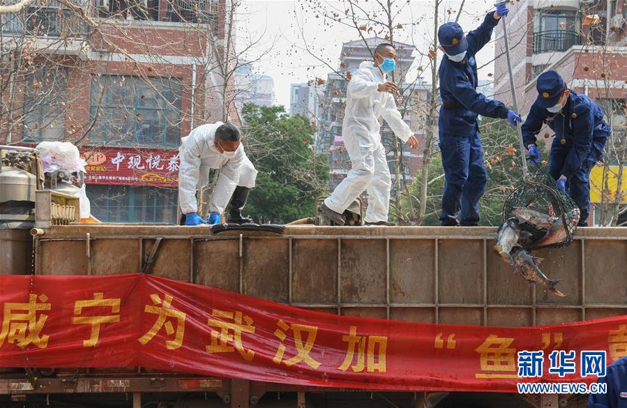 (新华全媒头条·图文互动)(11)风雨无阻向前进——写在全国疫情防控阻击战取得重大战略成果之际